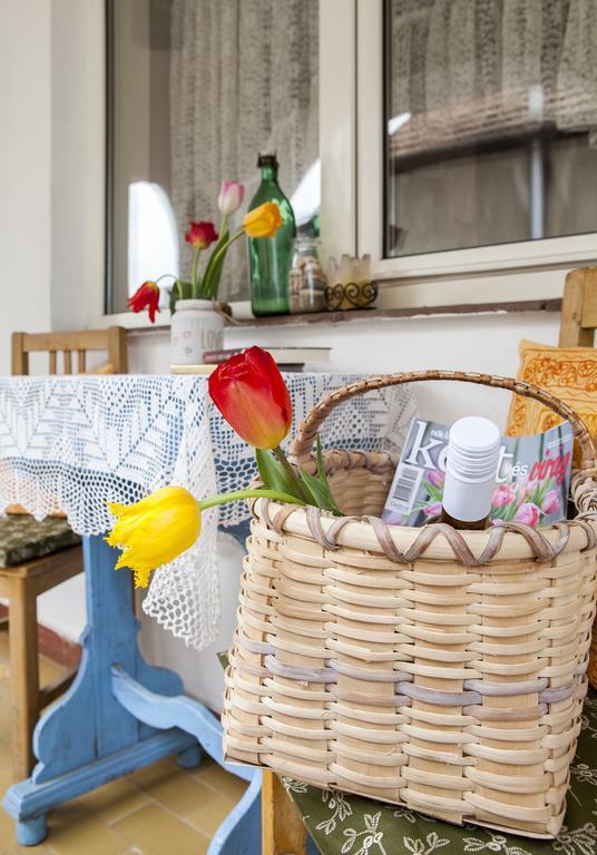Emese Vendeghaz Noszvaj Hotell Exteriör bild